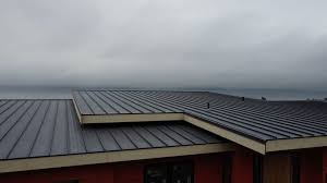 Roof Coating Services in Forty Fort, PA